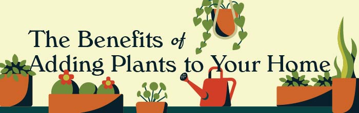 plants in home poster
