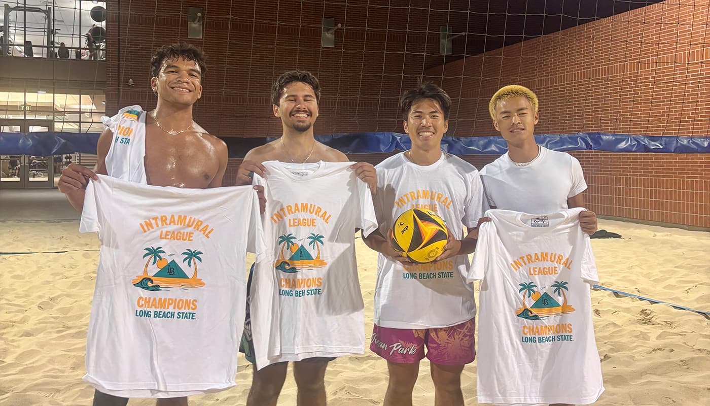 4v4 Beach Volleyball: Kittens
