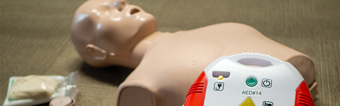 Photo of a mannequin used for CPR training